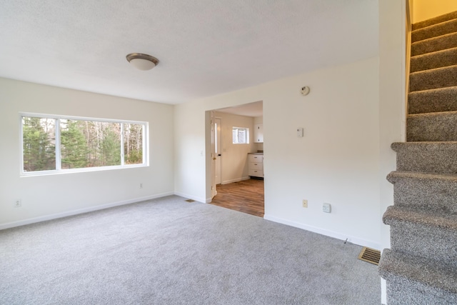 spare room featuring carpet floors