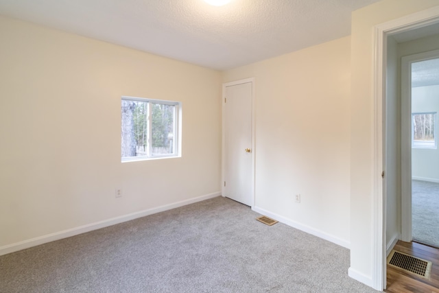 spare room featuring light colored carpet and a textured ceiling