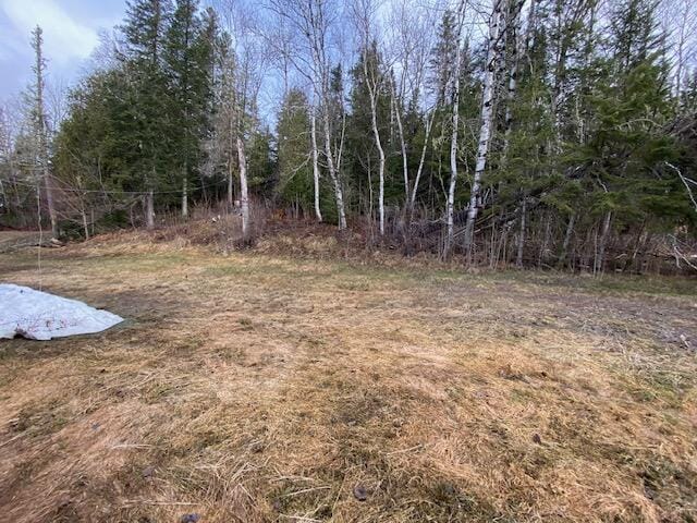 114 Clark Brook Rd, Wallagrass, ME 04781 - photo 42