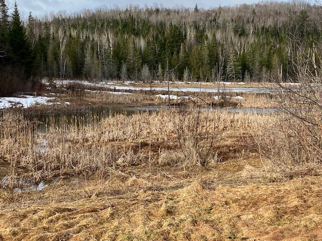 114 Clark Brook Rd, Wallagrass, ME 04781 - photo 43