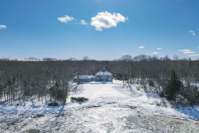 snowy aerial view featuring a view of trees