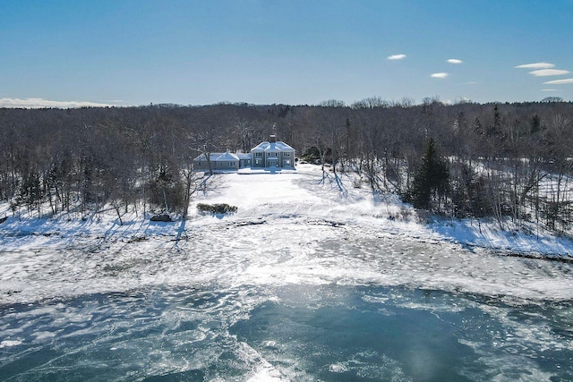 snowy aerial view featuring a view of trees