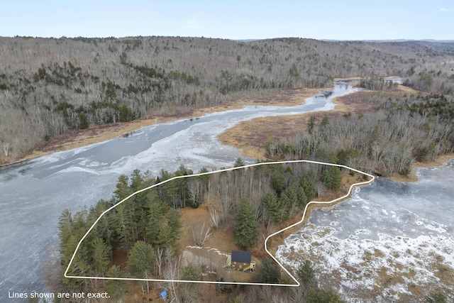 birds eye view of property with a water view and a forest view