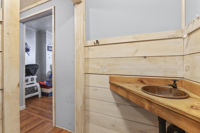 bathroom featuring sink and wood-type flooring