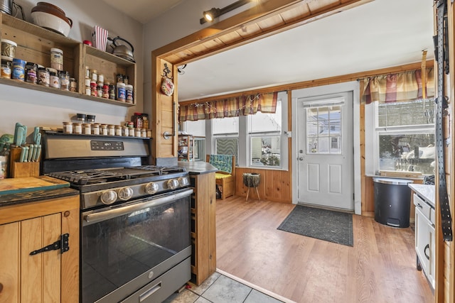 kitchen featuring stainless steel gas range and light hardwood / wood-style floors