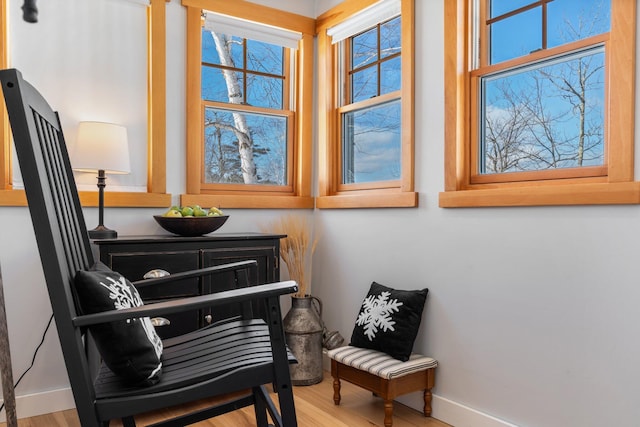 sitting room featuring hardwood / wood-style flooring