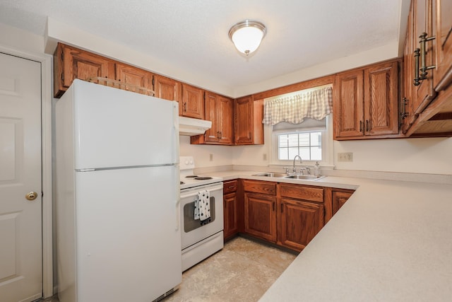 kitchen featuring white appliances, brown cabinetry, light countertops, under cabinet range hood, and a sink