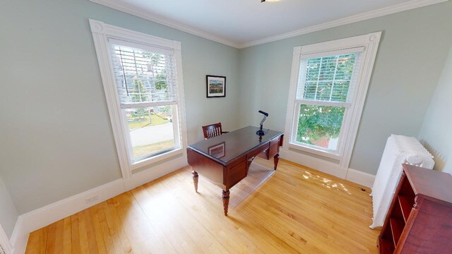 98 Fountain St, Bangor, ME 04401 - office with hardwood / wood-style flooring, ornamental molding, a healthy amount of sunlight, and radiator heating unit
