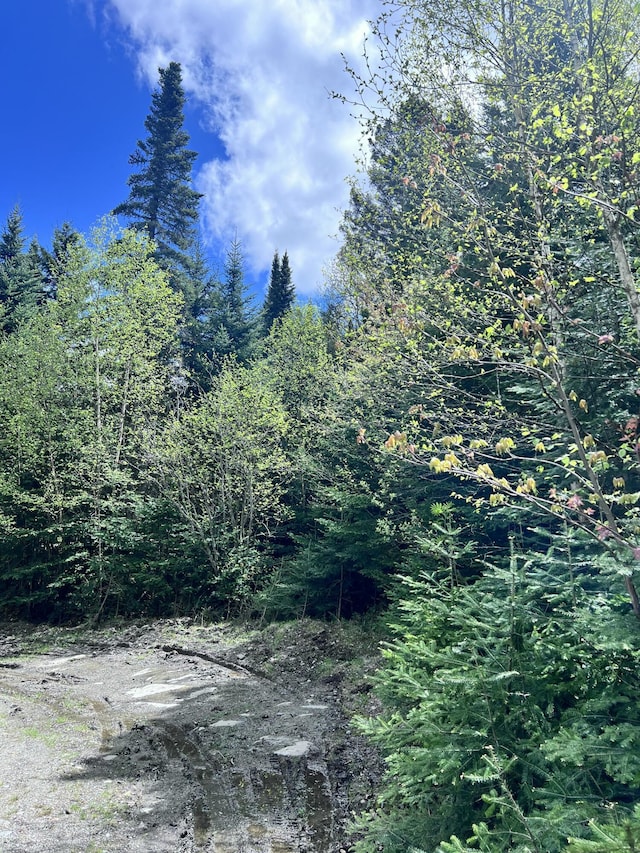 LOT58 Left Br, Sandy River Plt, ME 04970