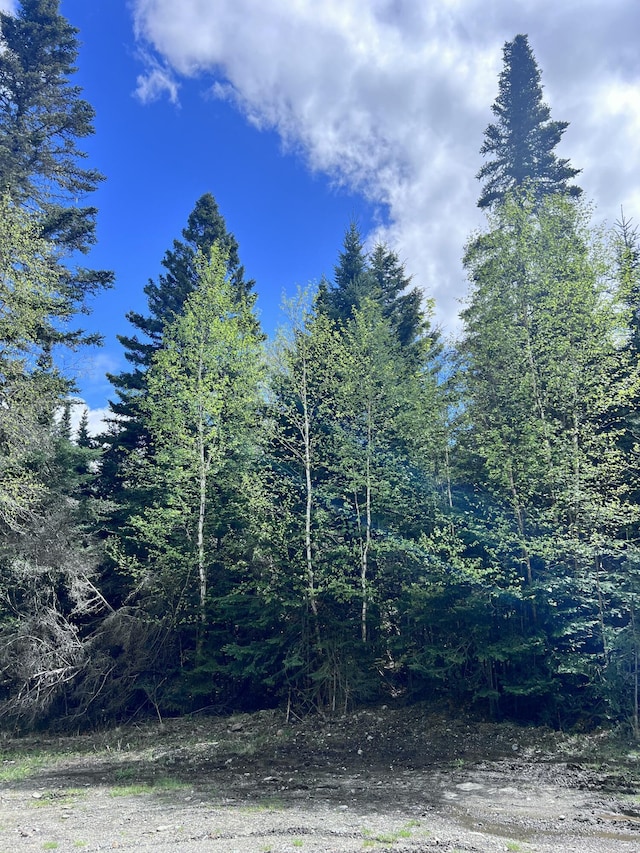 LOT58 Left Br, Sandy River Plt, ME 04970