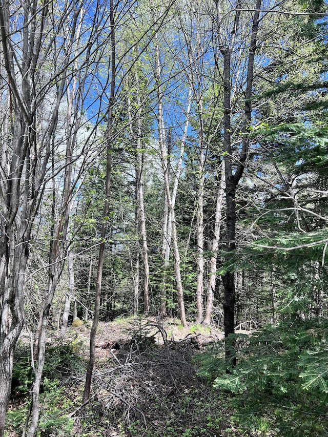 LOT58 Left Br, Sandy River Plt, ME 04970