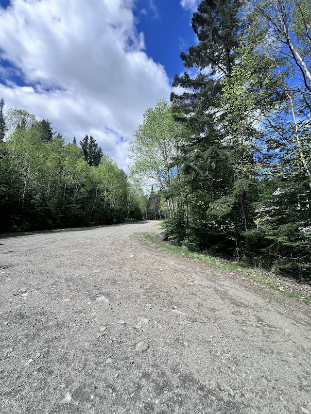LOT58 Left Br, Sandy River Plt, ME 04970