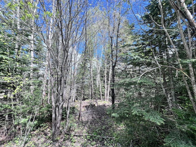LOT58 Left Br, Sandy River Plt, ME 04970