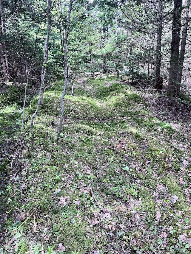 LOT58 Left Br, Sandy River Plt, ME 04970