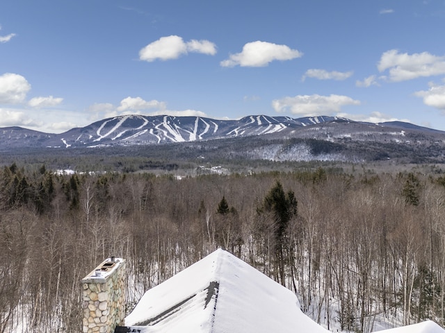 view of mountain feature