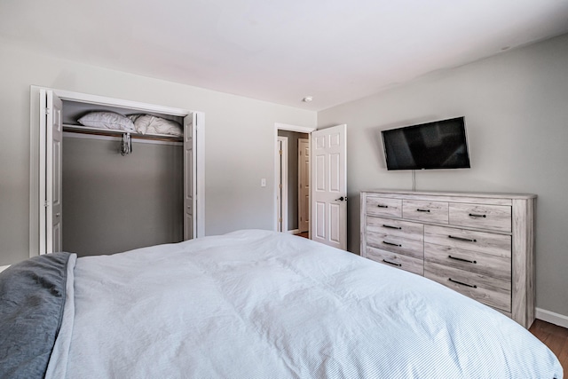 bedroom featuring dark hardwood / wood-style floors and a closet