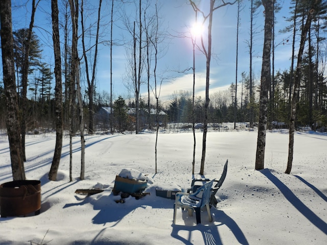 view of yard layered in snow