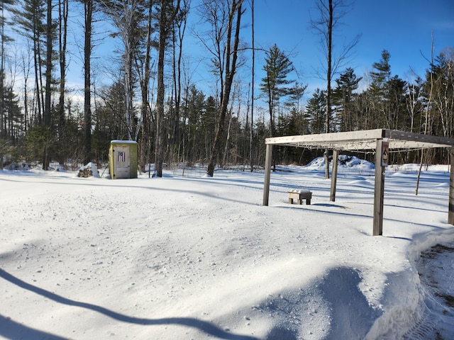 view of yard covered in snow