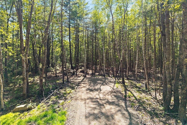 00 Oak Ridge Rd, Kennebunkport, ME 04046 - photo 2