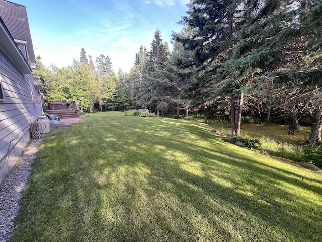 view of yard with a hot tub