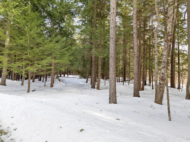 yard covered in snow featuring a wooded view