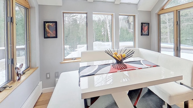 dining room featuring a baseboard radiator, wood finished floors, and baseboards