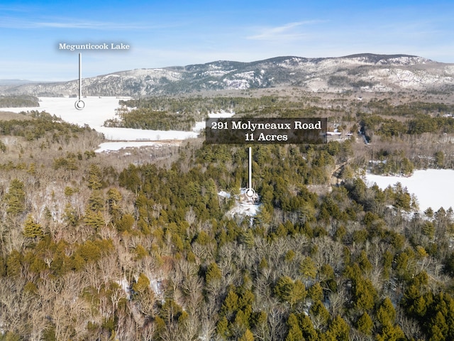 property view of mountains featuring a wooded view