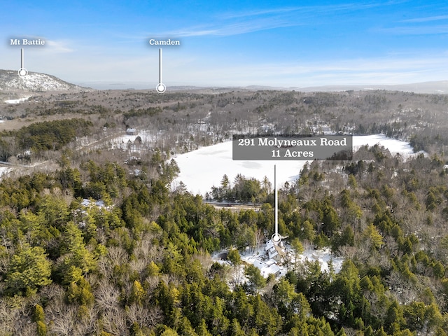 bird's eye view with a view of trees