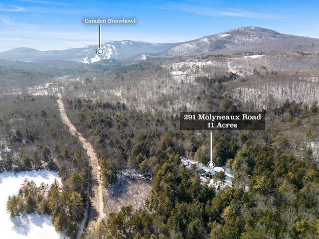 view of mountain feature with a wooded view