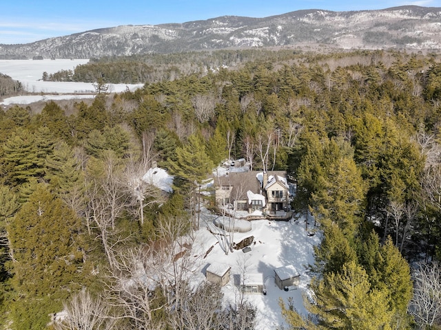 bird's eye view featuring a forest view and a mountain view