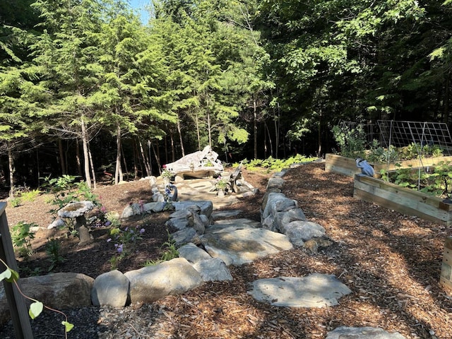 view of yard with a garden and a view of trees