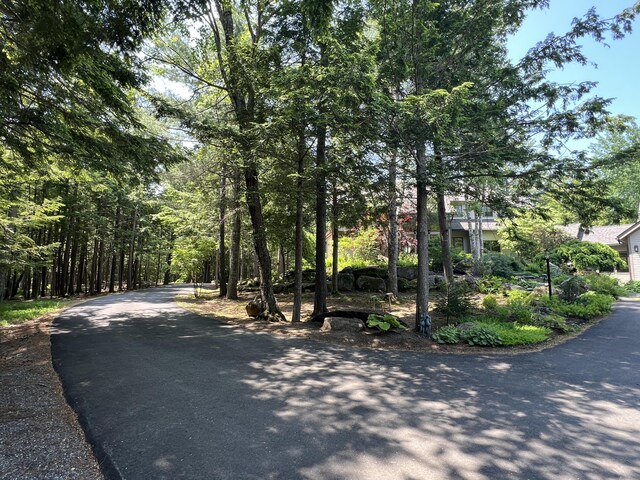 291 Molyneaux Rd, Camden, ME 04843 - photo 3