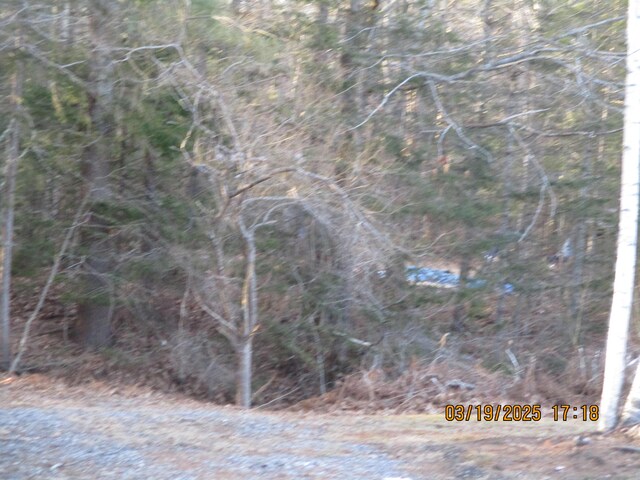 LOT00 Grover Ln, Brunswick, ME 04011 - photo 5