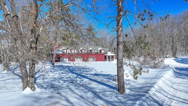 view of yard covered in snow