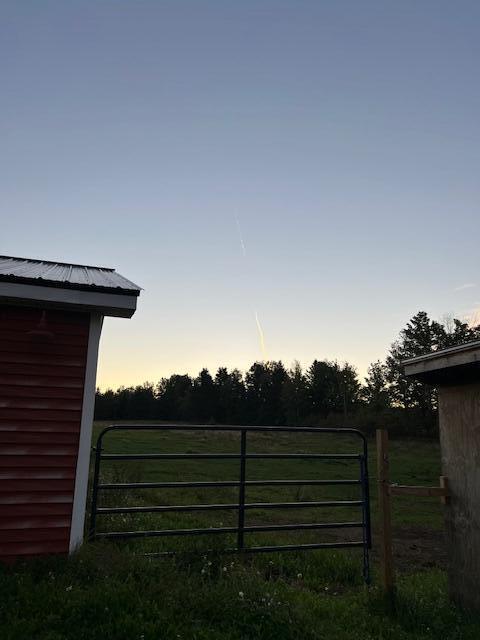 view of yard at dusk