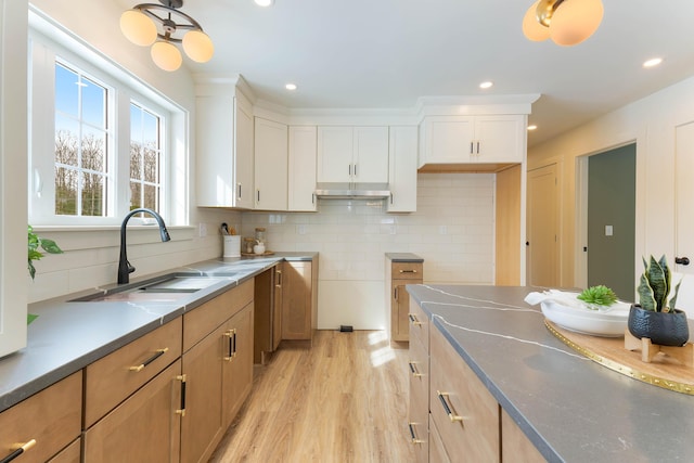 kitchen featuring decorative backsplash, under cabinet range hood, light wood-style floors, a sink, and recessed lighting