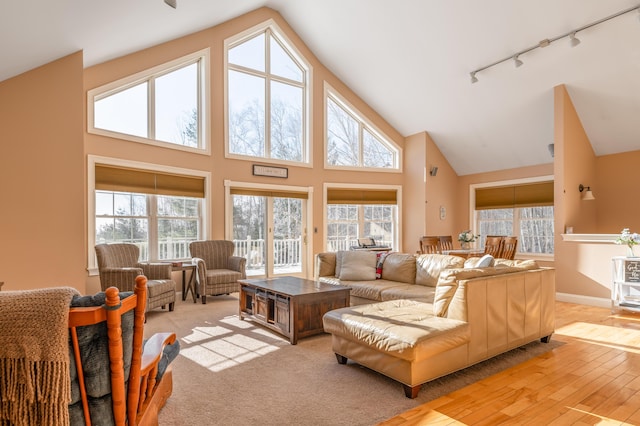 living room featuring track lighting, high vaulted ceiling, and light wood-type flooring