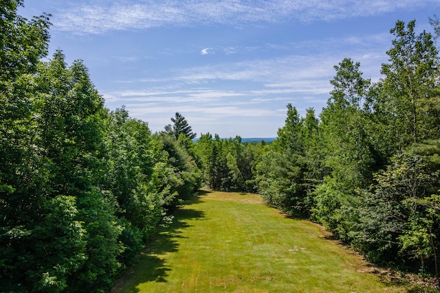 40 Penobscot Ridge Rd, Charleston, ME 04422 - view of grassy yard