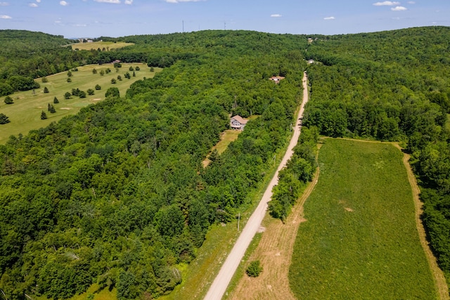 40 Penobscot Ridge Rd, Charleston, ME 04422 - aerial view of a forest