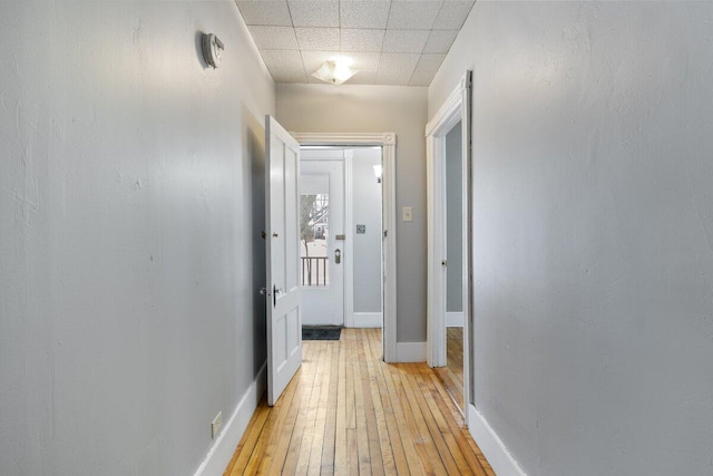 hallway with a drop ceiling, baseboards, and light wood-style floors