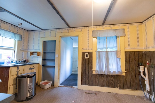 kitchen with sink and wood-type flooring