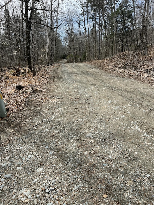 45 Dickson Rd, Carrying Place Town Twp, ME 04961 - view of road featuring a wooded view