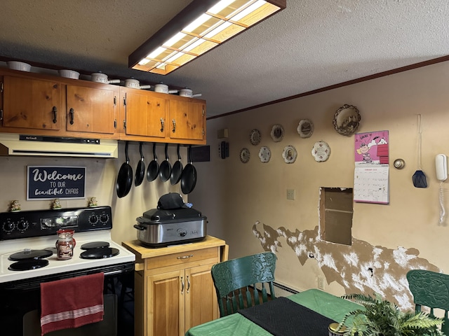 kitchen with under cabinet range hood, crown molding, a textured ceiling, and electric range oven