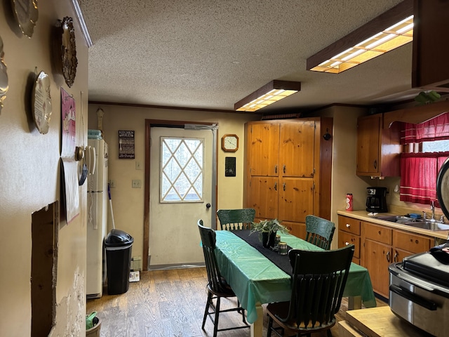 kitchen with a textured ceiling, light countertops, electric stove, freestanding refrigerator, and light wood finished floors