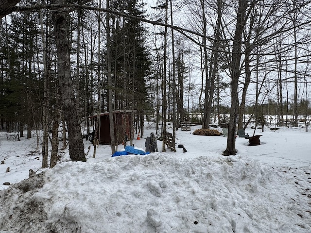 view of yard layered in snow