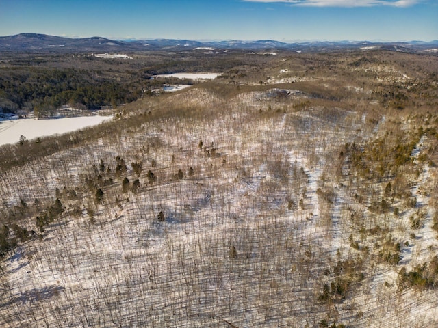 TBD Skillings Woods Road, Turner, ME 04282