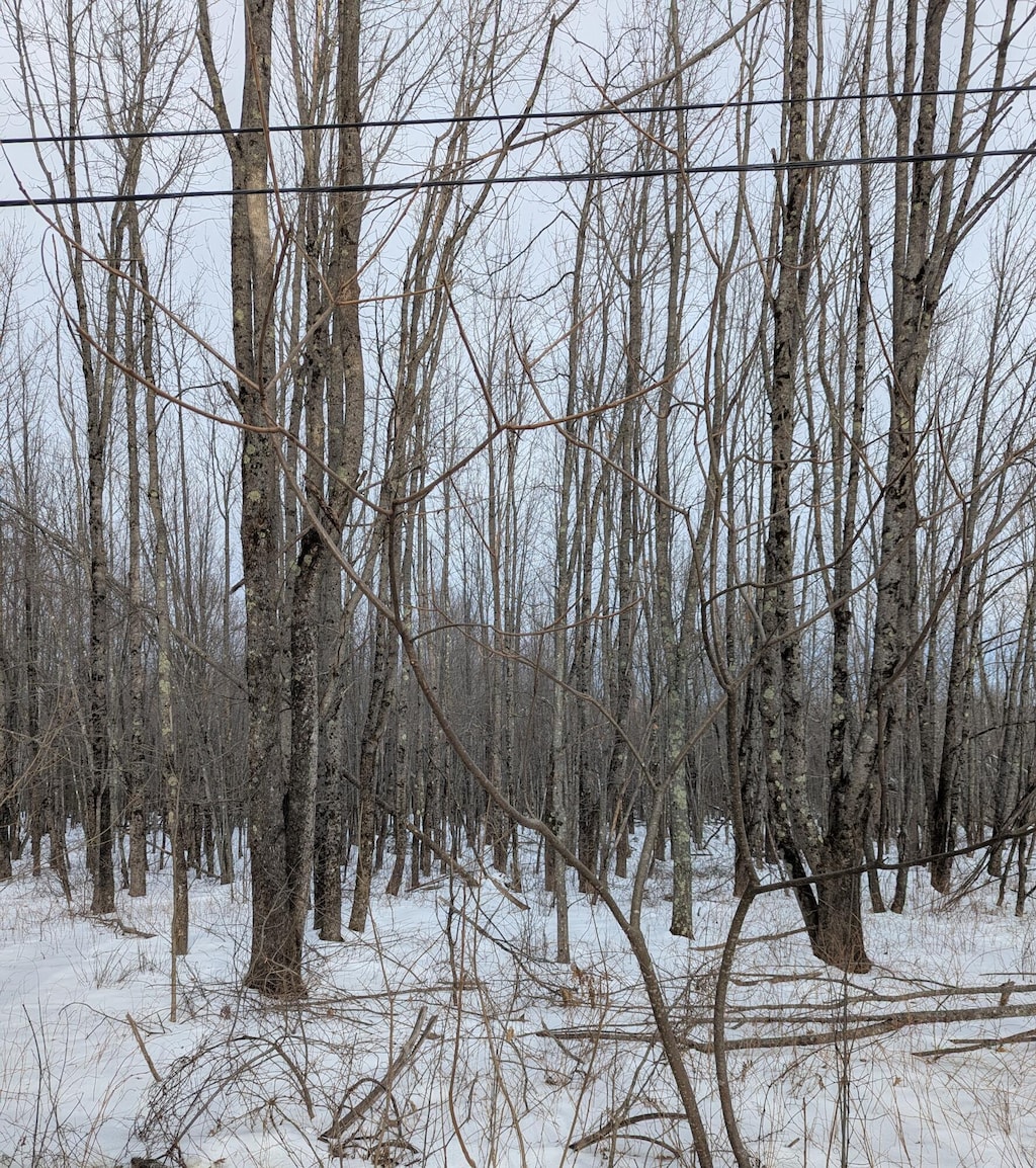 LOT7 Garcelon Rd, Burnham, ME 04922