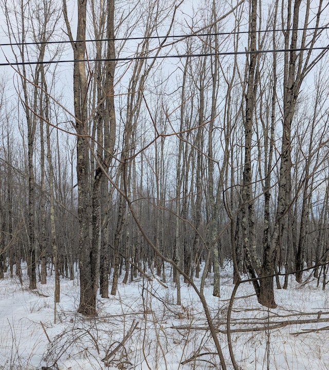 LOT7 Garcelon Rd, Burnham, ME 04922