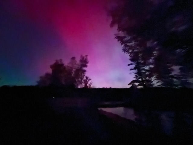 nature at dusk with a water view