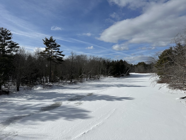 Listing photo 3 for 00 N Rd, Parsonsfield ME 04047